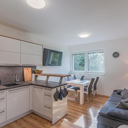 Apartman Černá v Pošumaví Kültér fotó
